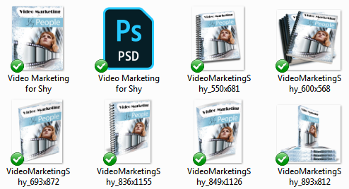 VideoMarketingShyEcoverMockup