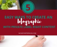 Create an Infographic with PLR