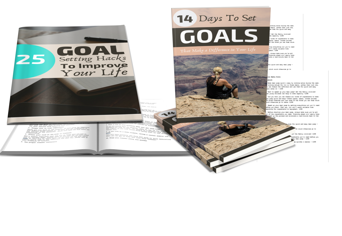 OTO Goal Setting Mockup Image