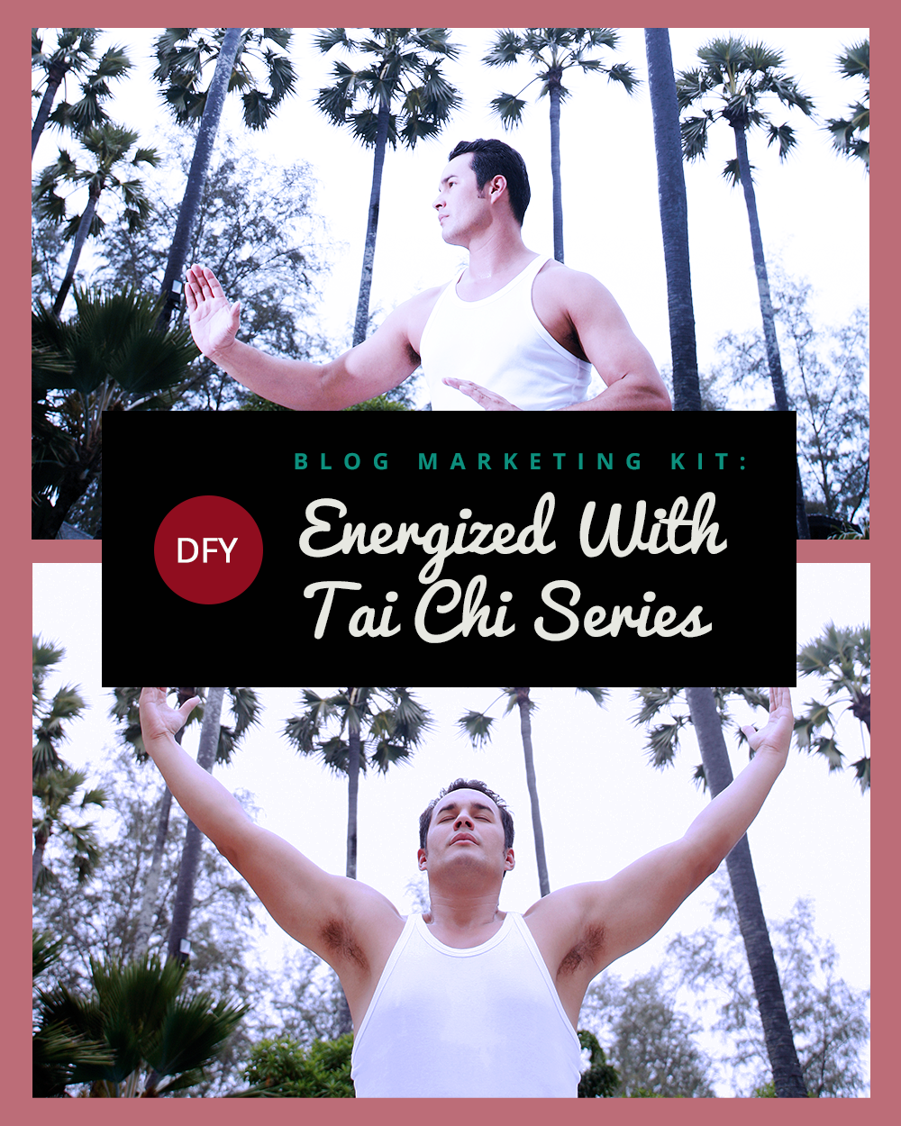 DFYBlogMarketing KitEnergizedWithTaiChiSeries3 DFYBlogMarketing KitEnergizedWithTaiChiSeries3